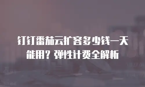 钉钉番茄云扩容多少钱一天能用？弹性计费全解析
