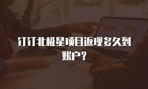 钉钉北极星项目返现多久到账户？