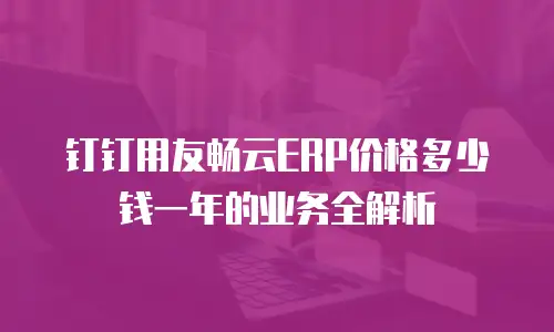 钉钉用友畅云ERP价格多少钱一年的业务全解析