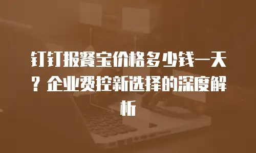 钉钉报餐宝价格多少钱一天？企业费控新选择的深度解析