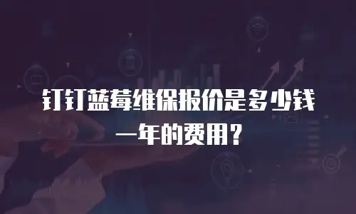 钉钉蓝莓维保报价是多少钱一年的费用？