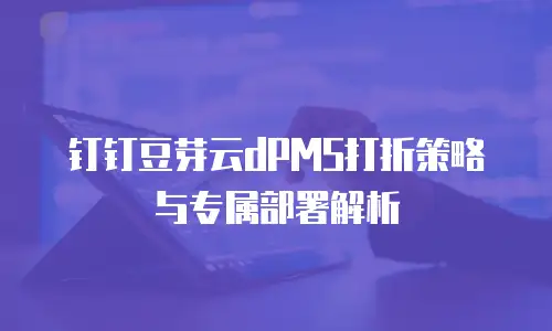 钉钉豆芽云dPMS打折策略与专属部署解析