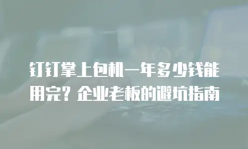 钉钉掌上包机一年多少钱能用完？企业老板的避坑指南
