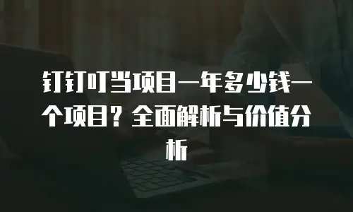 钉钉叮当项目一年多少钱一个项目？全面解析与价值分析