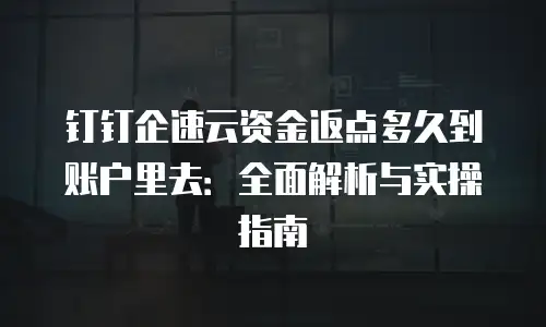 钉钉企速云资金返点多久到账户里去：全面解析与实操指南