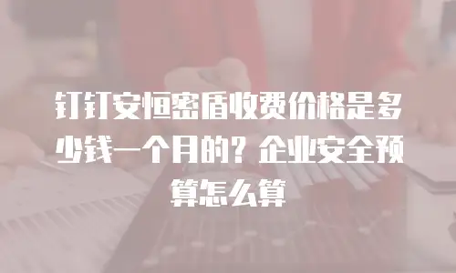 钉钉安恒密盾收费价格是多少钱一个月的？企业安全预算怎么算