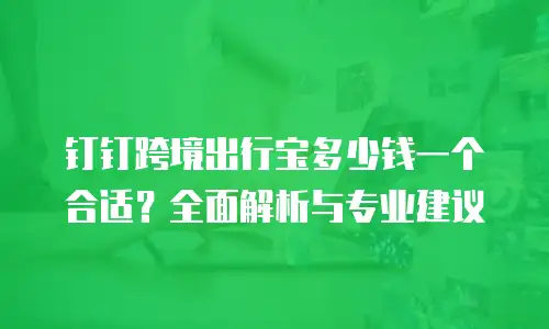 钉钉跨境出行宝多少钱一个合适？全面解析与专业建议