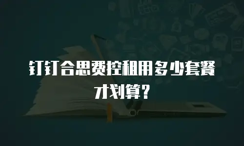 钉钉合思费控租用多少套餐才划算？