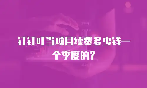 钉钉叮当项目续费多少钱一个季度的？