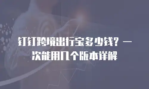 钉钉跨境出行宝多少钱？一次能用几个版本详解