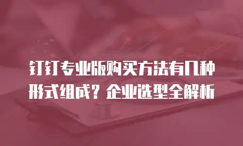 钉钉专业版购买方法有几种形式组成？企业选型全解析