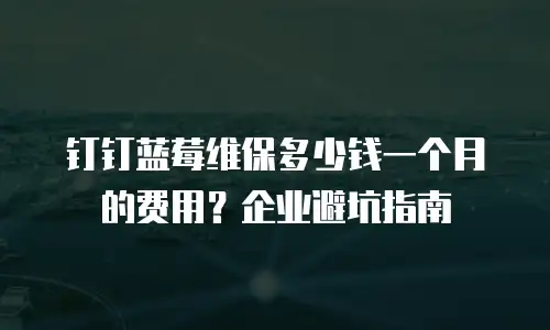 钉钉蓝莓维保多少钱一个月的费用？企业避坑指南