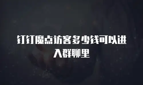 钉钉魔点访客多少钱可以进入群聊里