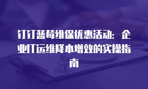 钉钉蓝莓维保优惠活动：企业IT运维降本增效的实操指南