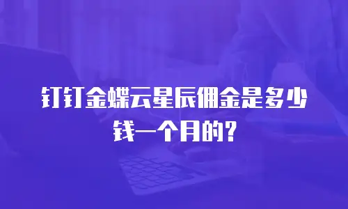 钉钉金蝶云星辰佣金是多少钱一个月的？