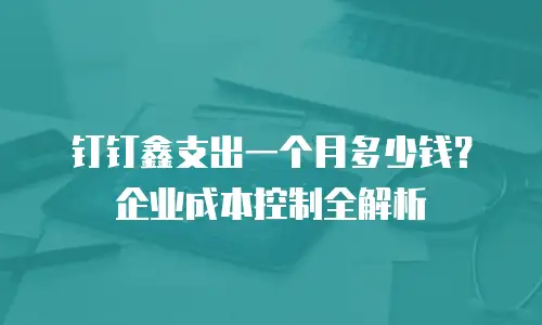 钉钉鑫支出一个月多少钱？企业成本控制全解析