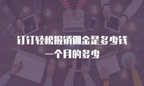 钉钉轻松报销佣金是多少钱一个月的多少