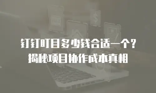 钉钉盯目多少钱合适一个？揭秘项目协作成本真相