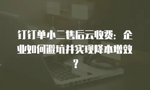 钉钉单小二售后云收费：企业如何避坑并实现降本增效？
