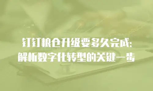 钉钉粮仓升级要多久完成：解析数字化转型的关键一步