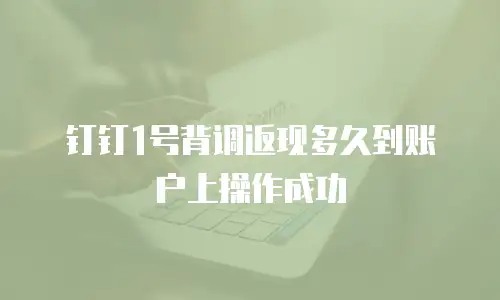 钉钉1号背调返现多久到账户上操作成功