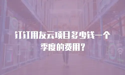 钉钉用友云项目多少钱一个季度的费用？
