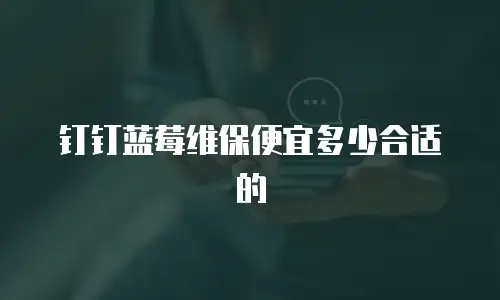 钉钉蓝莓维保便宜多少合适的