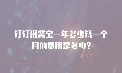钉钉报餐宝一年多少钱一个月的费用是多少？