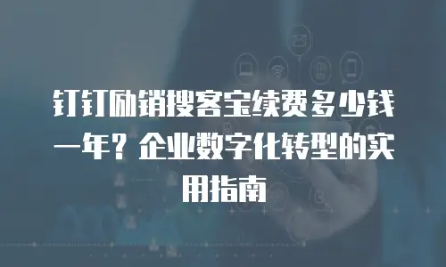 钉钉励销搜客宝续费多少钱一年？企业数字化转型的实用指南