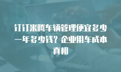 钉钉米腾车辆管理便宜多少一年多少钱？企业用车成本真相