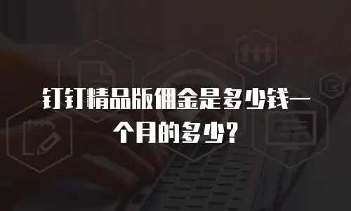 钉钉精品版佣金是多少钱一个月的多少？