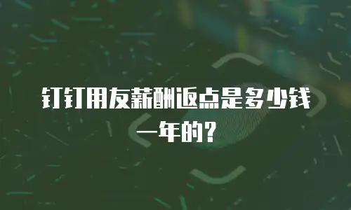 钉钉用友薪酬返点是多少钱一年的？