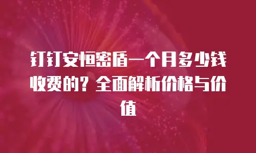 钉钉安恒密盾一个月多少钱收费的？全面解析价格与价值