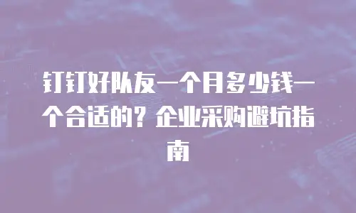 钉钉好队友一个月多少钱一个合适的？企业采购避坑指南