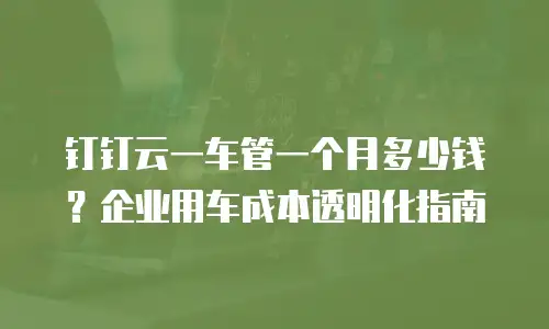 钉钉云一车管一个月多少钱？企业用车成本透明化指南