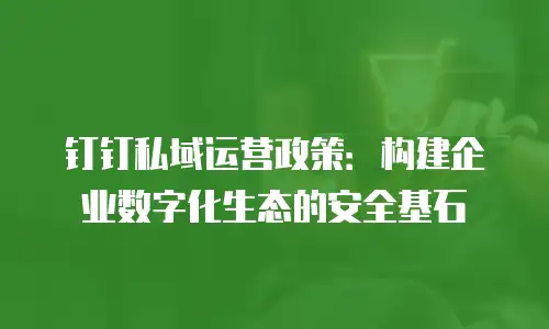 钉钉私域运营政策：构建企业数字化生态的安全基石