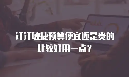 钉钉敏捷预算便宜还是贵的比较好用一点？