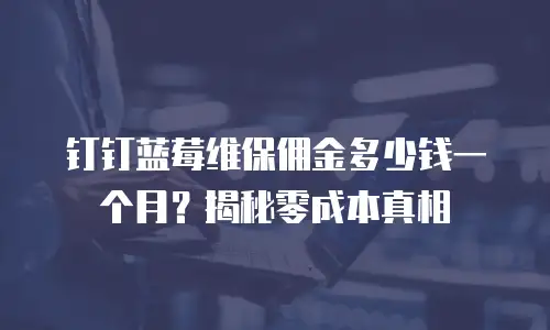 钉钉蓝莓维保佣金多少钱一个月？揭秘零成本真相