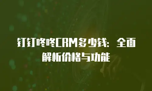钉钉咚咚CRM多少钱：全面解析价格与功能