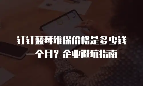 钉钉蓝莓维保价格是多少钱一个月？企业避坑指南