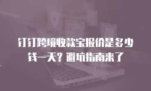 钉钉跨境收款宝报价是多少钱一天？避坑指南来了