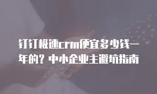 钉钉极速crm便宜多少钱一年的？中小企业主避坑指南