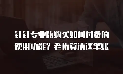 钉钉专业版购买如何付费的使用功能？老板算清这笔账