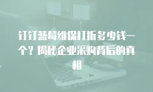 钉钉蓝莓维保打折多少钱一个？揭秘企业采购背后的真相