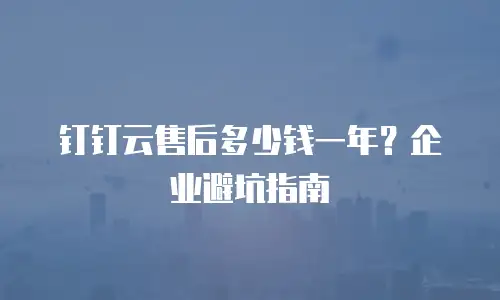 钉钉云售后多少钱一年？企业避坑指南