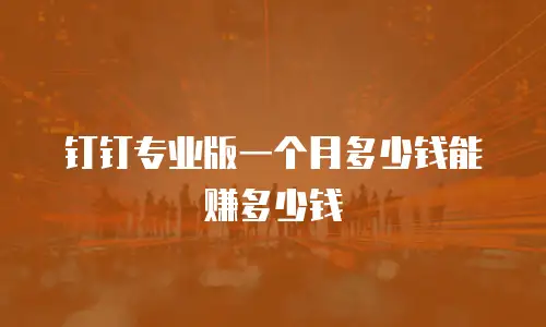 钉钉专业版一个月多少钱能赚多少钱