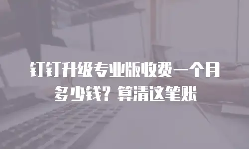 钉钉升级专业版收费一个月多少钱？算清这笔账