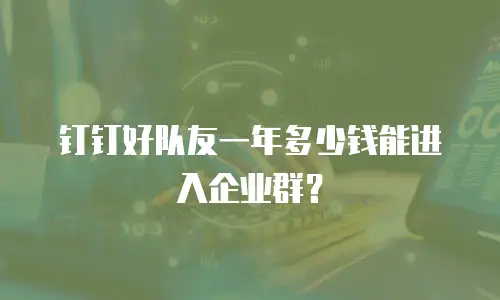 钉钉好队友一年多少钱能进入企业群？