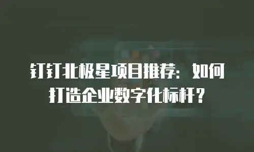 钉钉北极星项目推荐：如何打造企业数字化标杆？