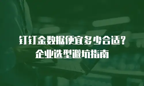 钉钉金数据便宜多少合适？企业选型避坑指南